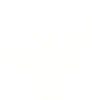 dibujo de tiza de árbol png