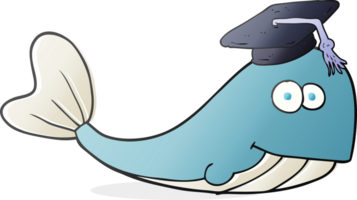 dessin animé baleine diplômé png