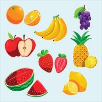 various fruits and vegetables are shown in this illustration vector