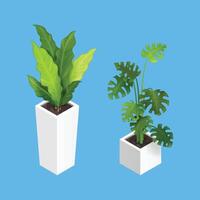 two plants in white pots plant decoration, illustration concept vector