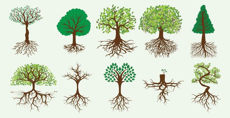 a collection of trees and grass with a sky background.