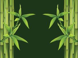 a set of bamboo stems with green leaves and stems. vector