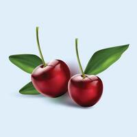 cherries apple with leaves that say on it vector