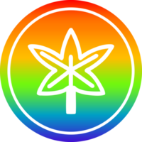 Marihuana-Blatt kreisförmig im Regenbogenspektrum png