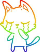 rainbow gradient line drawing crying cartoon cat png