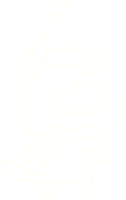 Christmas Fox Chalk Drawing png