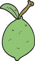 tecknad doodle lime frukt png