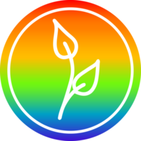 natural leaf circular in rainbow spectrum png