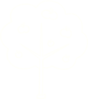 Apple Tree Chalk Drawing png