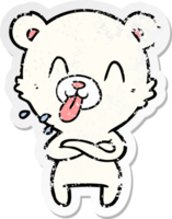 distressed sticker of a rude cartoon polar bear sticking out tongue png