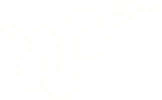 desenho de giz de cobra png