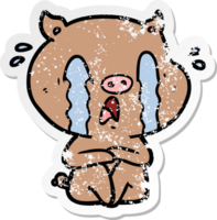 distressed sticker of a crying pig cartoon png