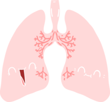 flat color style cartoon lungs png