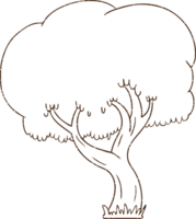 disegno a carboncino dell'albero png