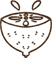 Half Lemon Charcoal Drawing png