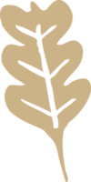 cartoon doodle dry brown leaf png