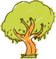 dibujo de tiza de árbol png