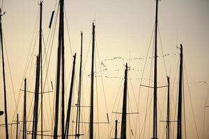 Masts in the port against the blue sky. photo