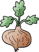 cartoon doodle old onion png