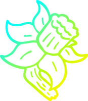 cold gradient line drawing of a cartoon daffodil png