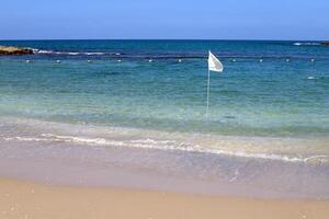 arenoso playa en el costas de el Mediterráneo mar en del Norte Israel. foto