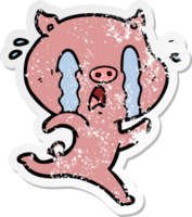 distressed sticker of a crying pig cartoon png