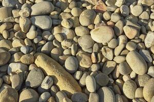 Texture of colored stones photo