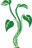 hand drawn quirky cartoon plant png