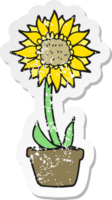 retro verontrust sticker van een tekenfilm zonnebloem png