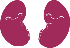 flat color style cartoon kidneys png