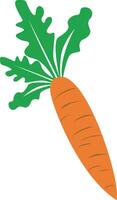 zanahoria icono ilustración vector