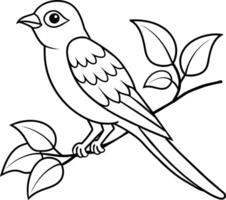 detallado pájaro dibujo expresivo bocetos de naturaleza vector