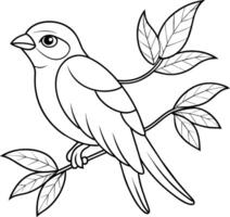 Bird Freedom Sketch Expressing through Art vector