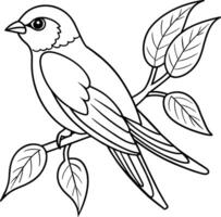 pájaro fauna silvestre Arte hermosa dibujos de naturaleza vector