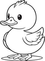 A cute duck with a black body and white head vector