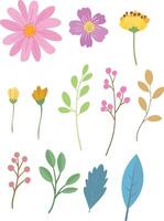 Set of Hand Drawn Flowers. Flower and Leaf Collection. vector