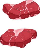 fresh beef, fresh cuts of meat vector