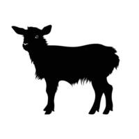 Small goat farm animal black silhouettes isolated on white background vector