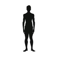 Standing Male Silhouette vector