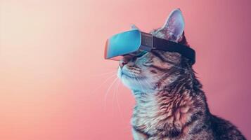 Cat with 3d VR glasses on the isolated background photo