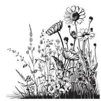 Wild field hand drawn sketch in doodle style field illustration vector