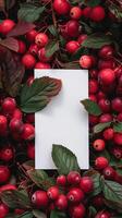 Navidad rojo bayas y papel Bosquejo, invierno antecedentes foto
