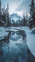 Beautiful winter landscape, snow and fir trees, realistic photo