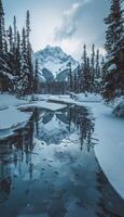 hermosa invierno paisaje, nieve y abeto árboles, realista foto