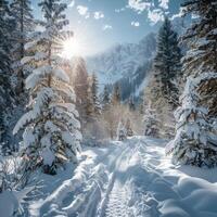 Beautiful winter landscape, snow and fir trees, realistic photo