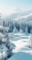 Beautiful winter landscape, snow and fir trees, realistic photo