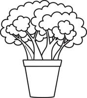 cauliflower plant in pot icon illustration design vector