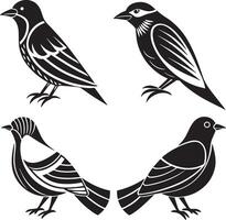 Set of black and white birds isolated on white background. illustration. vector