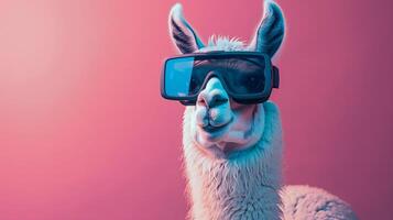 Llama with 3d VR glasses on the isolated background photo