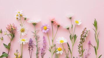 Summer wildflowers on pastel background photo